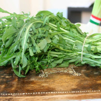 RUCOLA SELVATICA