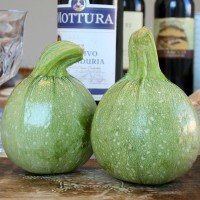 ZUCCHINO TONDO GEODE F1