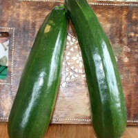 ZUCCHINO LUNGO SCURO DIAMANT F1