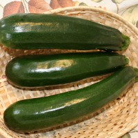 ZUCCHINO LUNGO SCURO DIAMANT F1