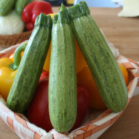 ZUCCHINO STRIATO F1