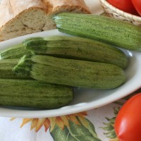 ZUCCHINO STRIATO F1