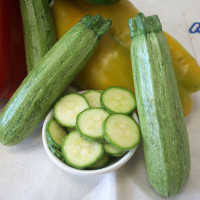 ZUCCHINO STRIATO F1