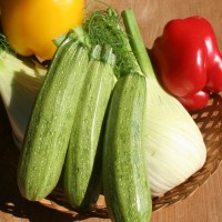 ZUCCHINO STRATO D'ITALIA