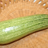 ZUCCHINO GREYZINI F1