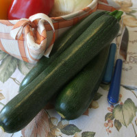 ZUCCHINO LUNGO SCURO F1