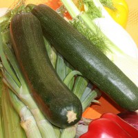 ZUCCHINO LUNGO SCURO F1