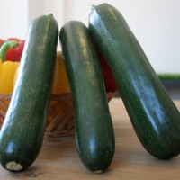 ZUCCHINO LUNGO SCURO F1