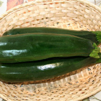 ZUCCHINO LUNGO SCURO F1