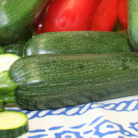 ZUCCHINO EVERY F1