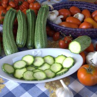 ZUCCHINO LUNGO FIORENTINO ARTE F1