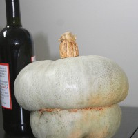 ZUCCA MANTOVANA