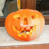 ZUCCA HALLOWEEN