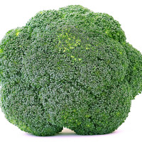 CAVOLO BROCCOLO CALABRESE F1