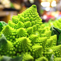 CAVOLFIORE ROMANESCO F1