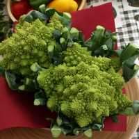 CAVOLFIORE ROMANESCO F1