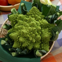 CAVOLFIORE ROMANESCO F1