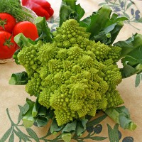 CAVOLFIORE ROMANESCO F1