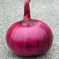 CIPOLLA ROSSA PIATTA SENESE