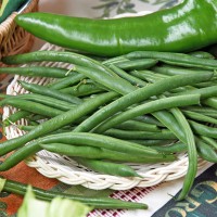 FAGIOLINO VERDE