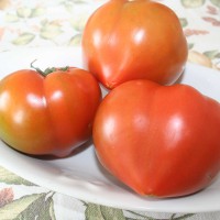 POMODORO A CUORE