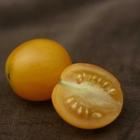 POMODORO CILIEGIA GIALLO F1