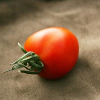 POMODORO TOMATOBERRY