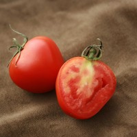 POMODORO TOMATOBERRY