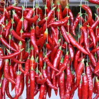 PEPERONCINO CORNO DEL DIAVOLO