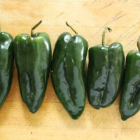 PEPERONCINO ANCHO POBLANO