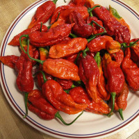 PEPERONCINO NAGA MORICH