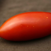 POMODORO SAN MARZANO F1