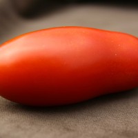 POMODORO SAN MARZANO F1