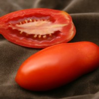 POMODORO SAN MARZANO F1