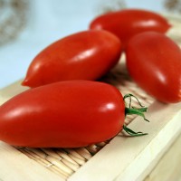 POMODORO SAN MARZANO F1