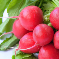 RAVANELLO TONDO ROSSO