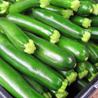 ZUCCHINO SCURO VRANGLER F1