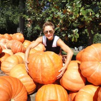 ZUCCA GIGANTE