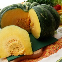 ZUCCA MOSCATA DI PROVENZA