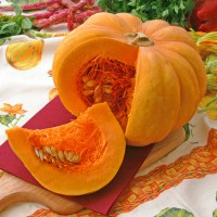 ZUCCA MOSCATA DI PROVENZA