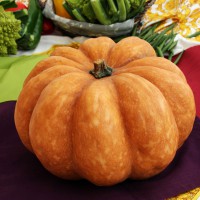 ZUCCA MOSCATA DI PROVENZA