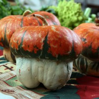 ZUCCA TURBANTE