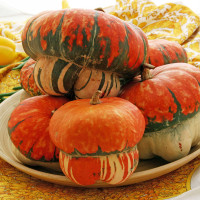 ZUCCA TURBANTE