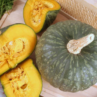 ZUCCA DELICA F1