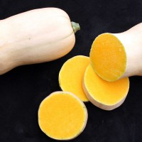 ZUCCA BUTTERNUT LISCIA