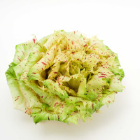 CICORIA VARIEGATA DI CASTELFRANCO