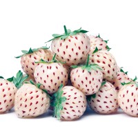 FRAGOLA BIANCA ANANAS PINEBERRY