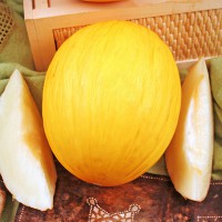 MELONE GIALLO CANARIA