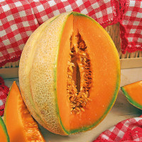 MELONE RETATO CANTALUPO