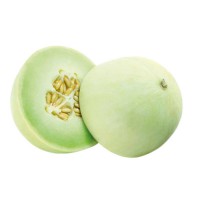 MELONE BIANCO HONEY DEW